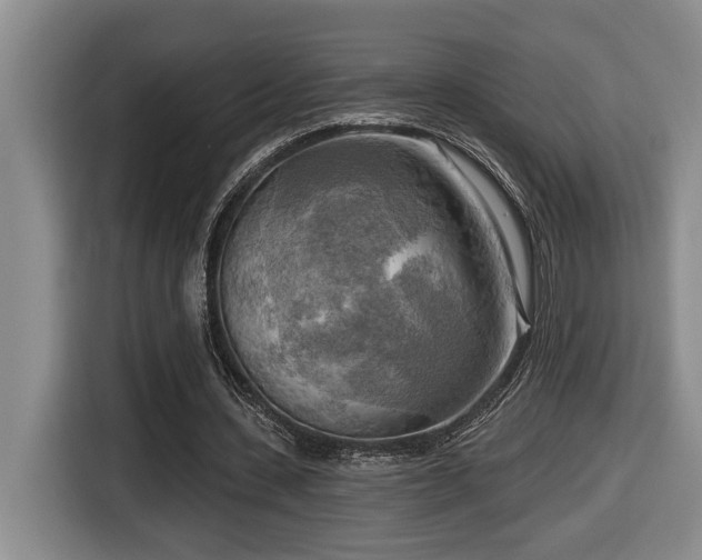 X0000116650531200912141257