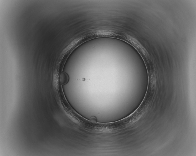 X0000116650533200912141257
