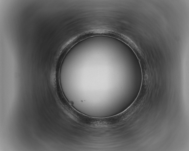 X0000116650535200912141257