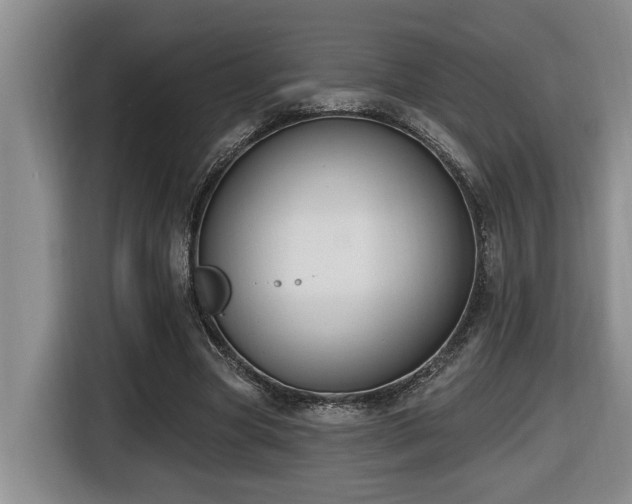 X0000116650537200912141257