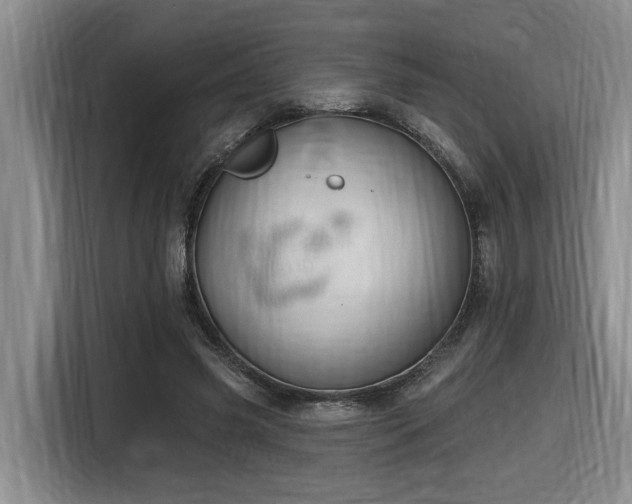 X0000116650541200912141257