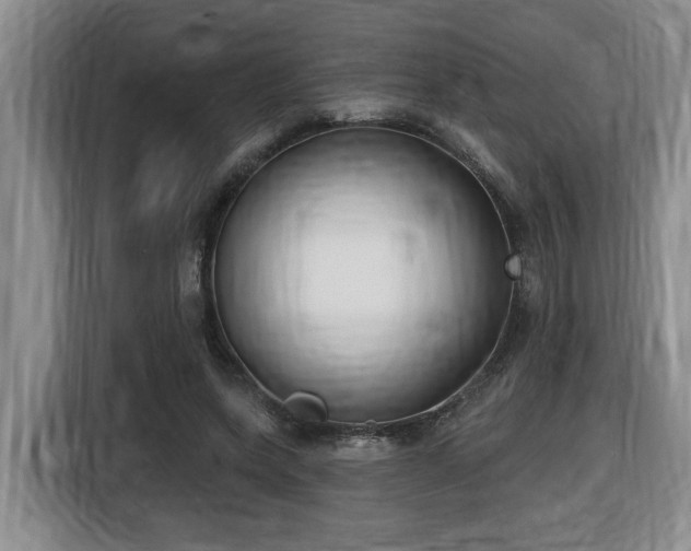 X0000116650543200912141257