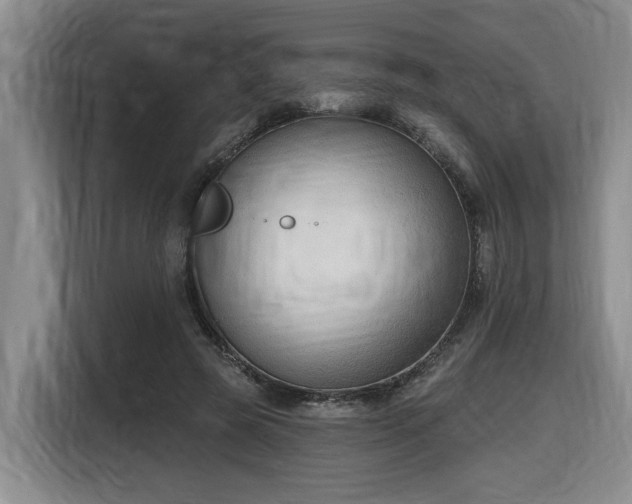 X0000116650545200912141257