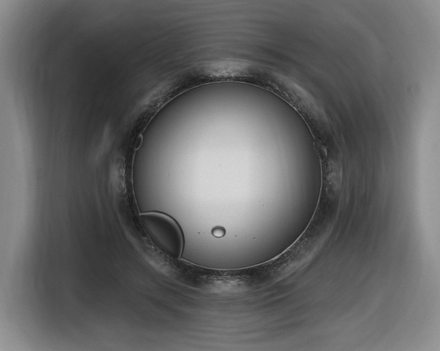X0000116650547200912141257