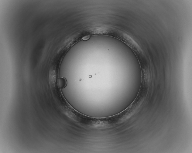 X0000116650549200912141257