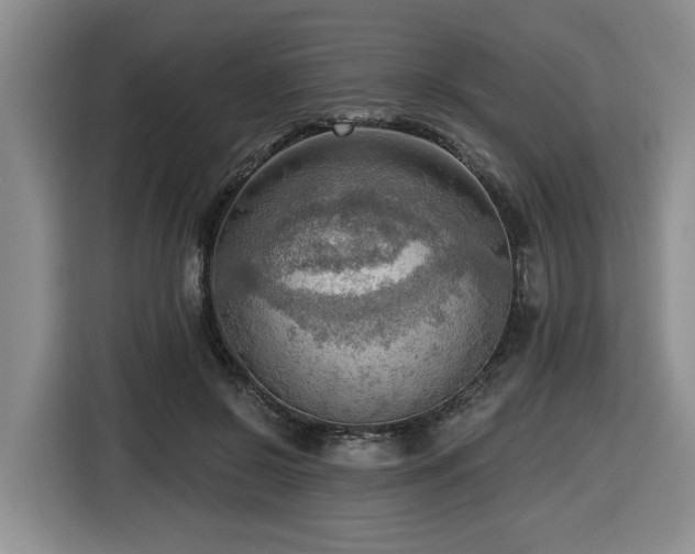 X0000116650550200912141257