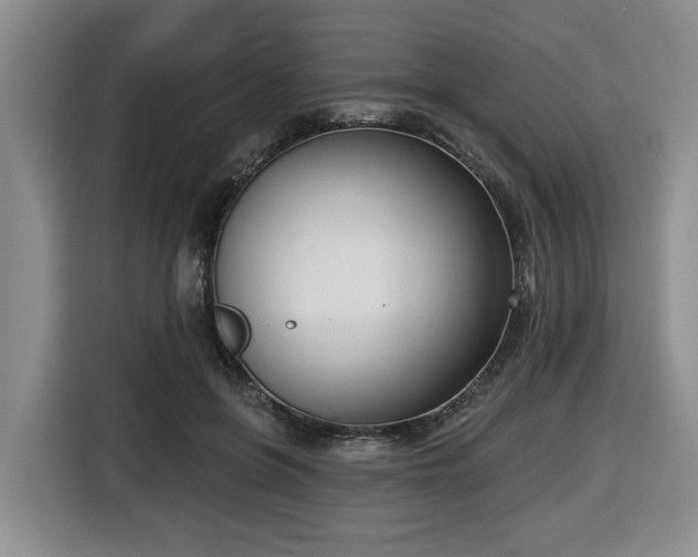 X0000116650551200912141257