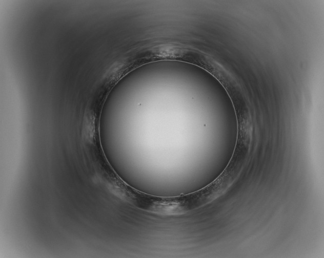X0000116650554200912141257