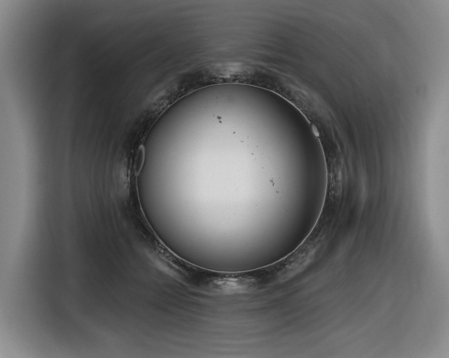 X0000116650558200912141257