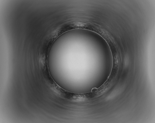 X0000116650559200912141257