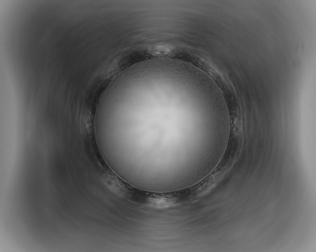 X0000116650561200912141257