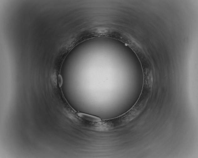 X0000116650562200912141257