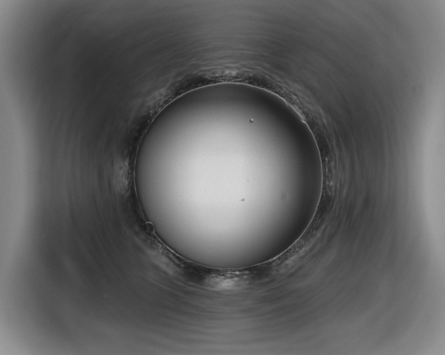X0000116650563200912141257