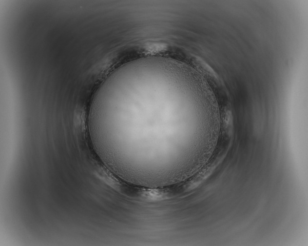 X0000116650565200912141258