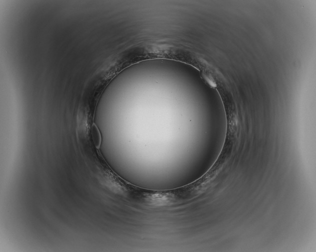 X0000116650566200912141258