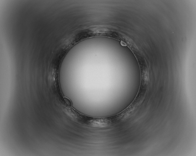 X0000116650567200912141258