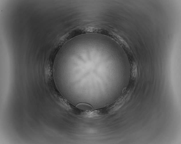 X0000116650569200912141258
