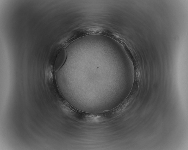 X0000116650570200912141258