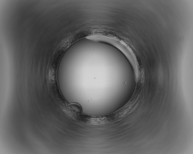 X0000116650571200912141258