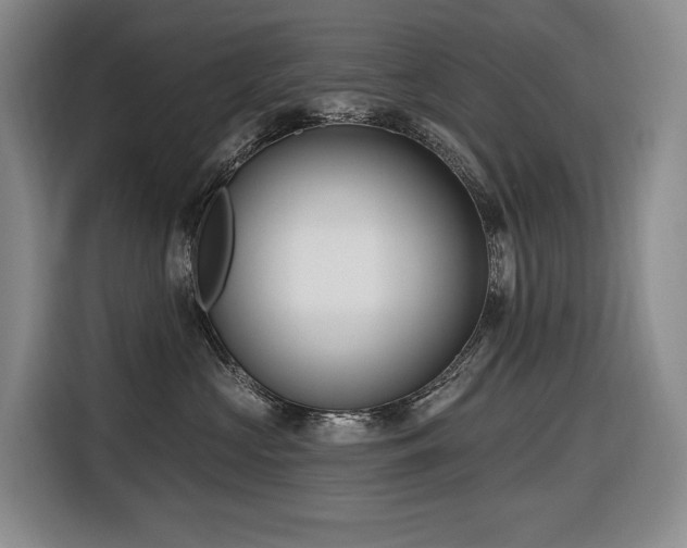 X0000116650573200912141258