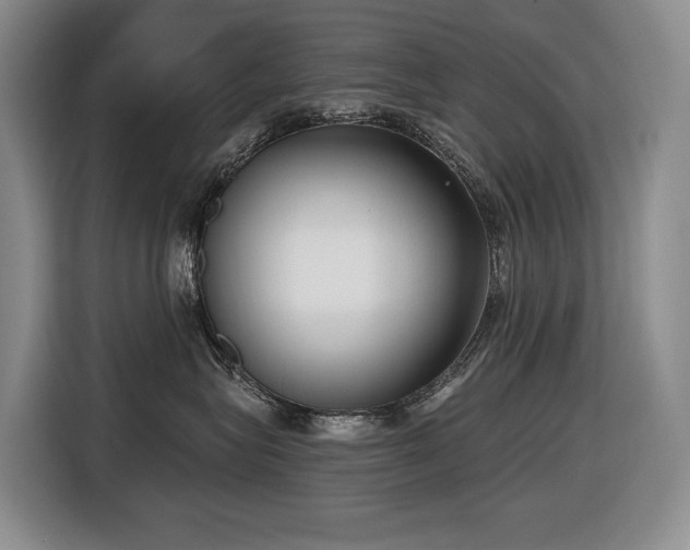 X0000116650575200912141258
