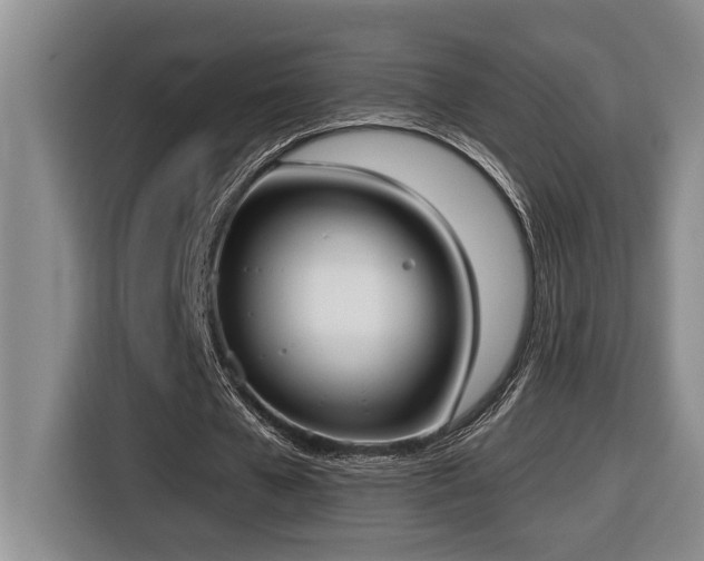X0000116650577200912141257