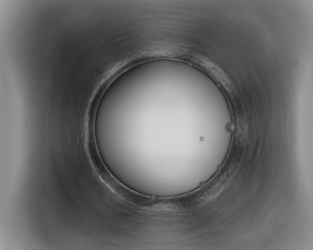 X0000116650578200912141257