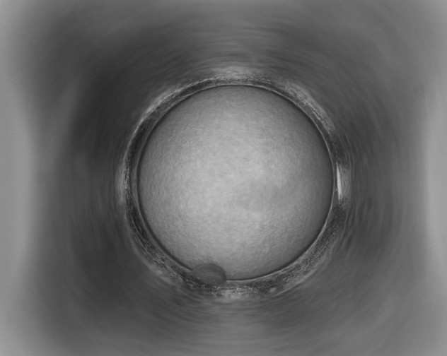 X0000116650579200912141257