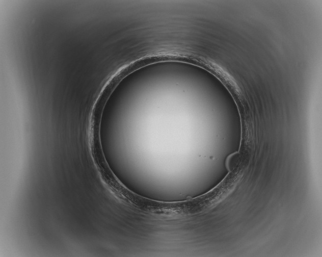 X0000116650580200912141257
