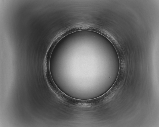 X0000116650582200912141257