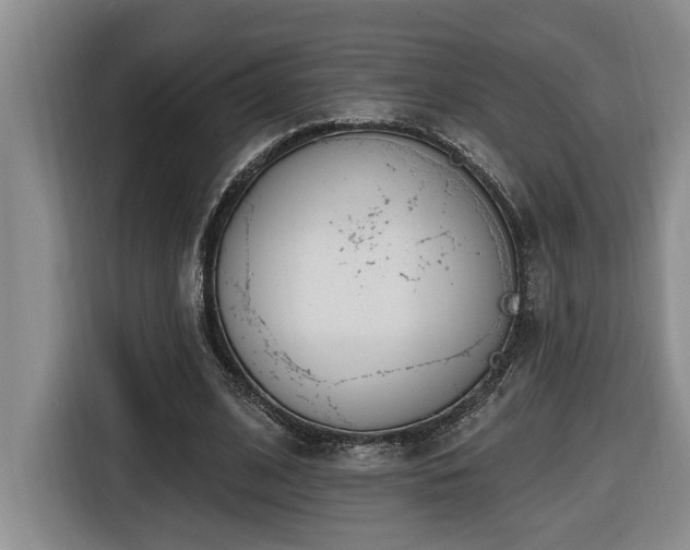 X0000116650584200912141257