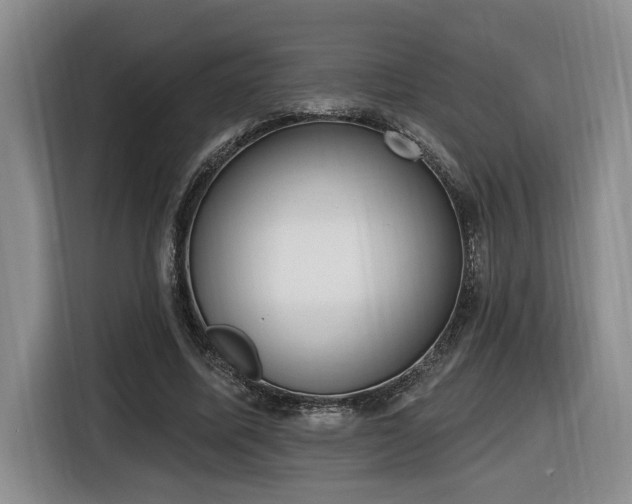 X0000116650587200912141257