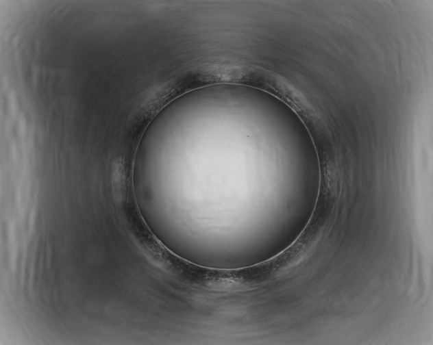 X0000116650594200912141257