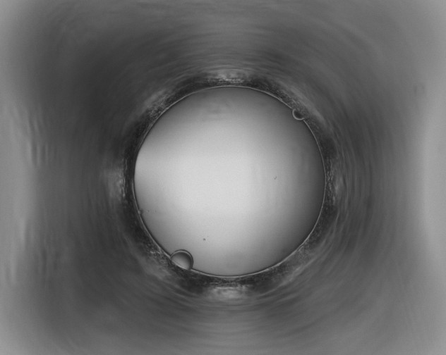 X0000116650595200912141257