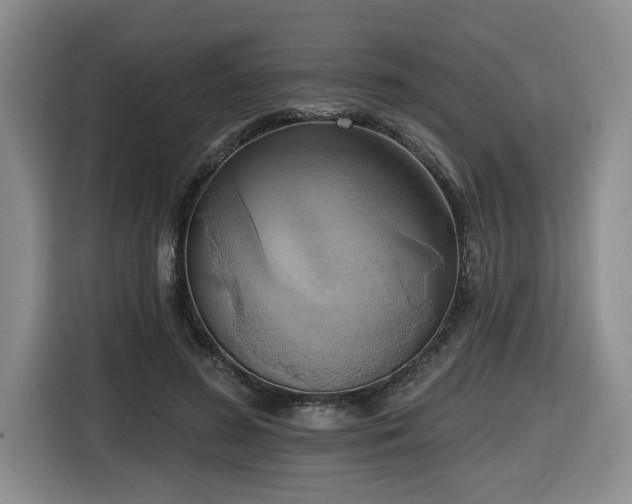 X0000116650596200912141257