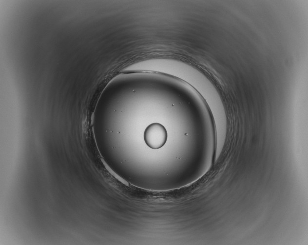 X0000116650597200912141257