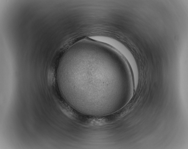 X0000116650599200912141257