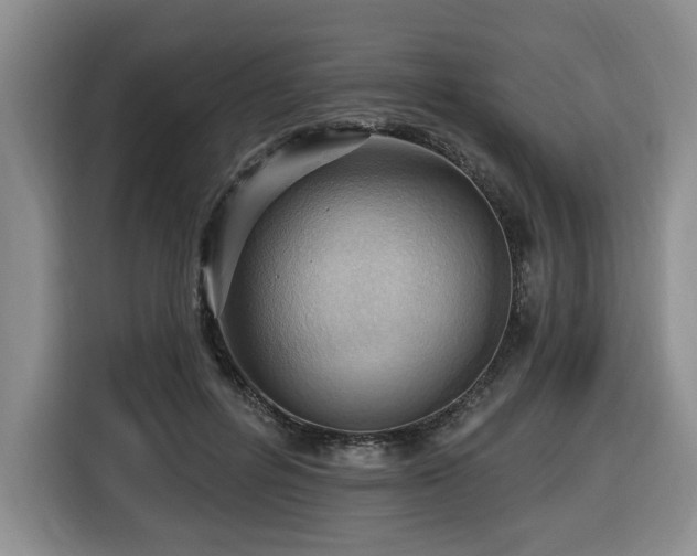 X0000116650600200912141257