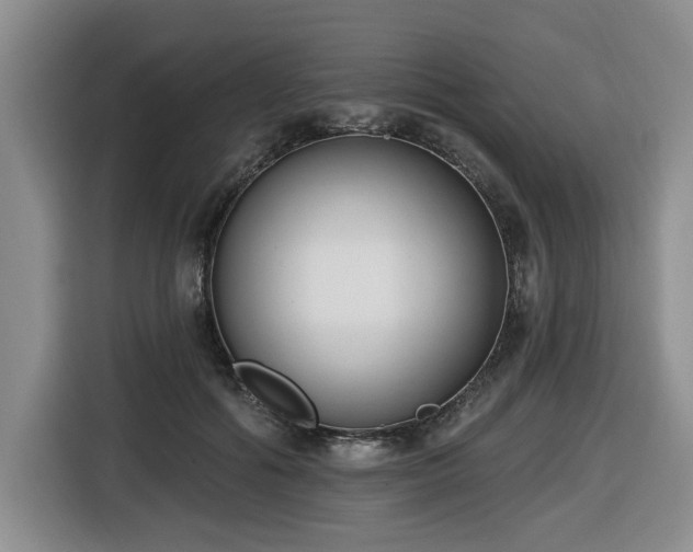 X0000116650602200912141257