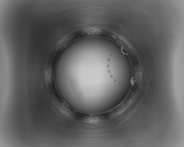X0000116650604200912141257