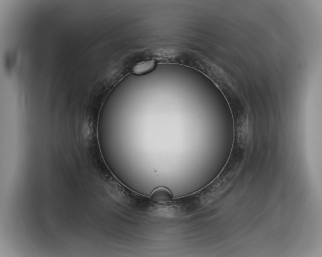 X0000116650608200912141257
