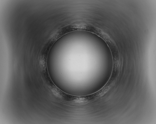 X0000116650609200912141257