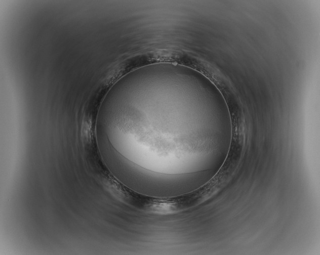 X0000116650610200912141257