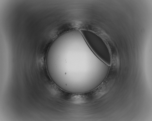 X0000116650611200912141257