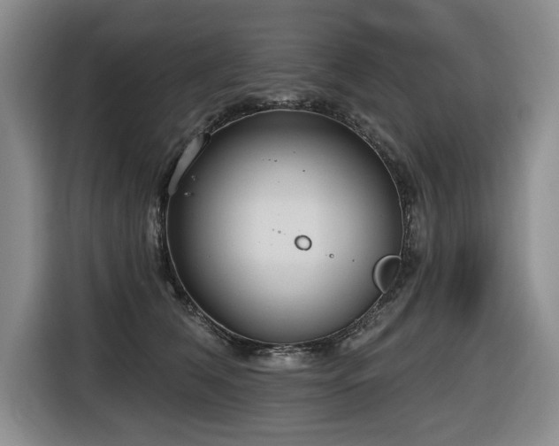 X0000116650612200912141257
