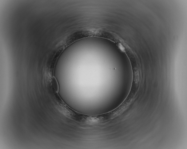 X0000116650613200912141257