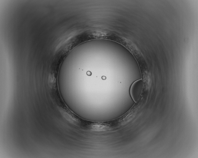 X0000116650614200912141257