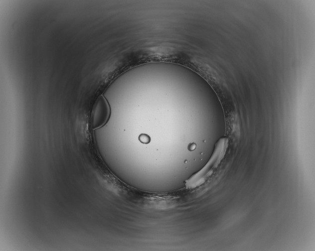 X0000116650615200912141257