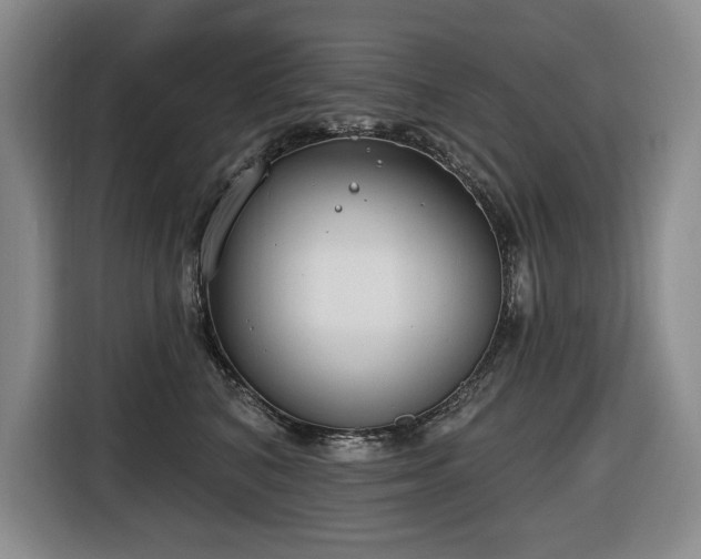 X0000116650616200912141257