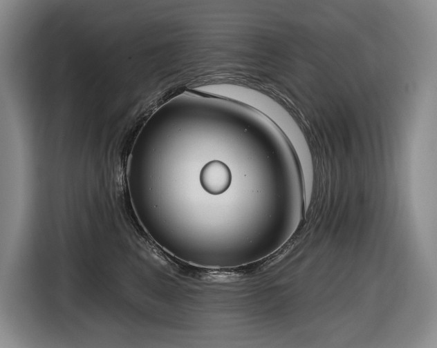 X0000116650617200912141257